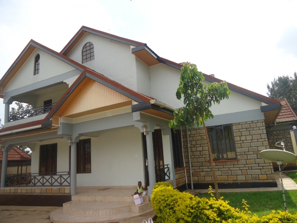 Professional Painter at Work